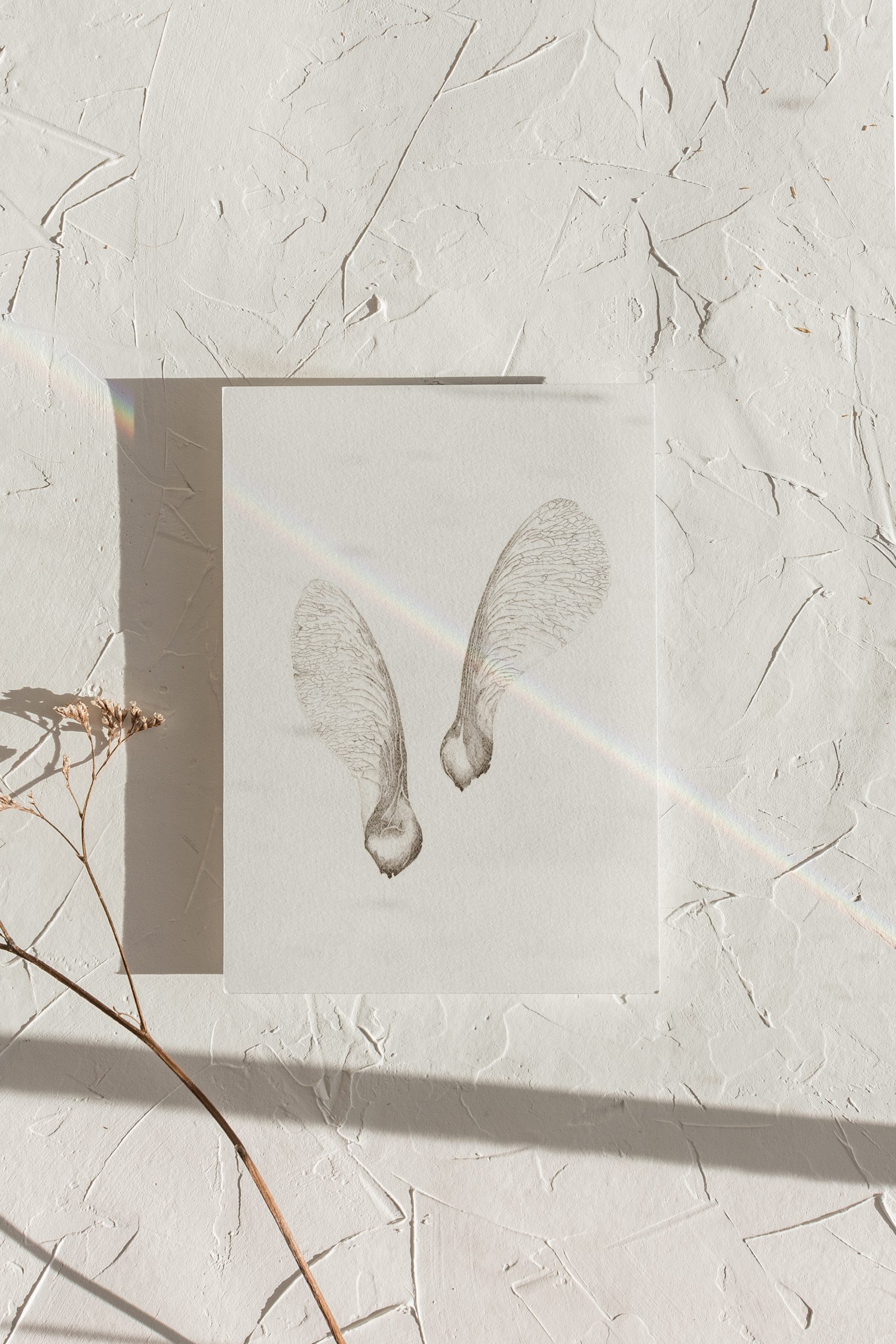 Mini Art Maple seeds - Image 2