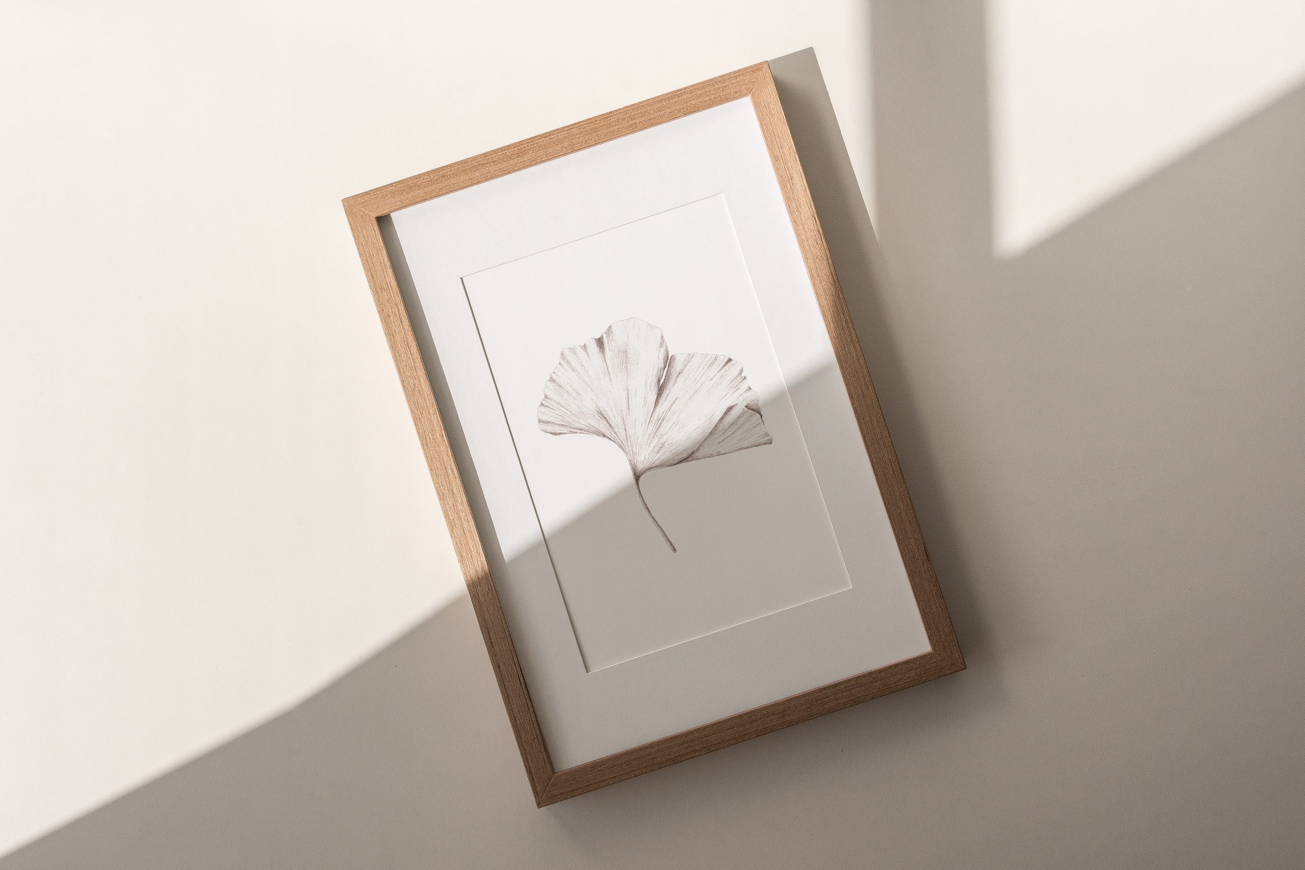 Ginko leaf - Image 4