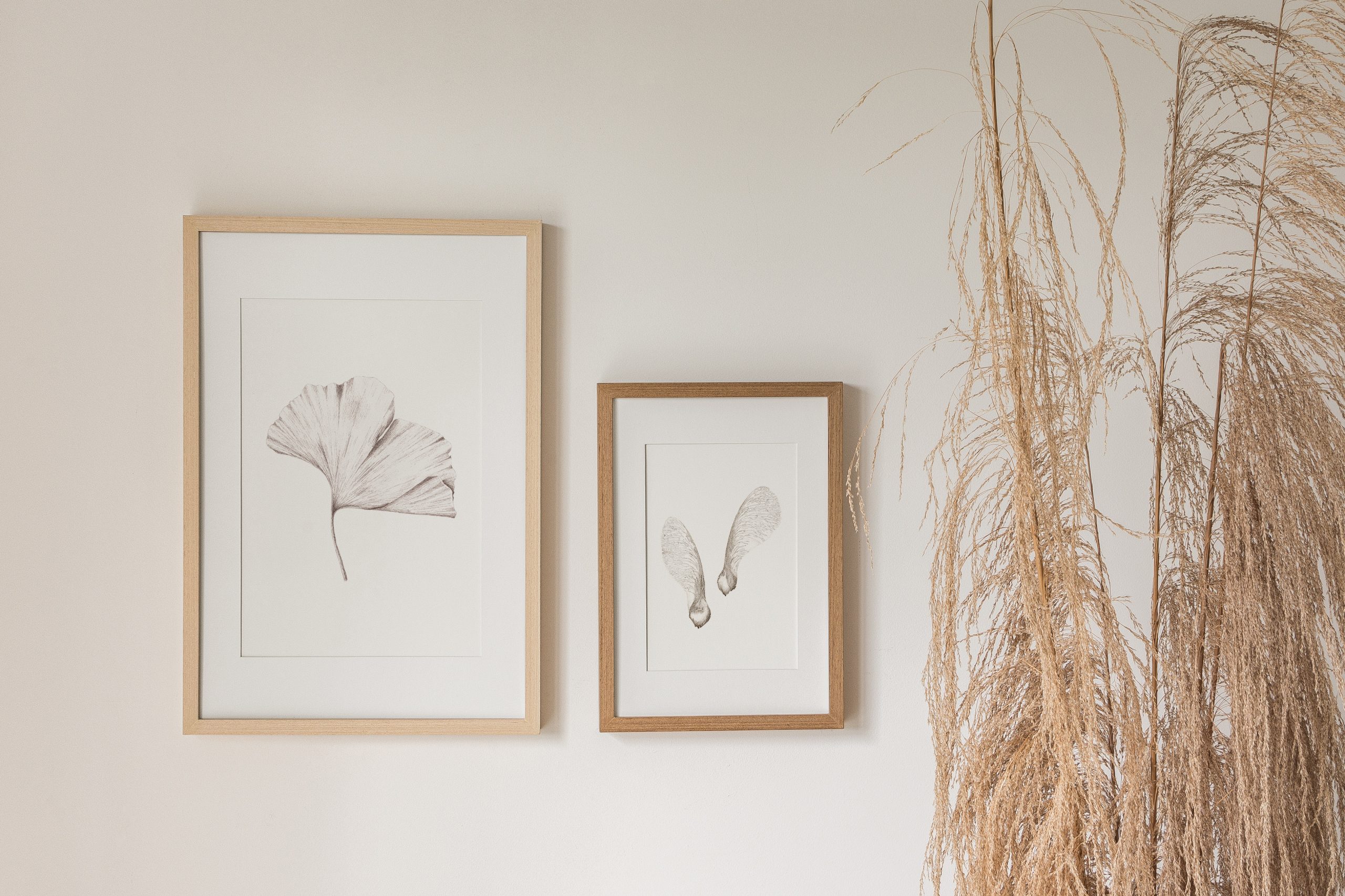 Ginko leaf - Image 3