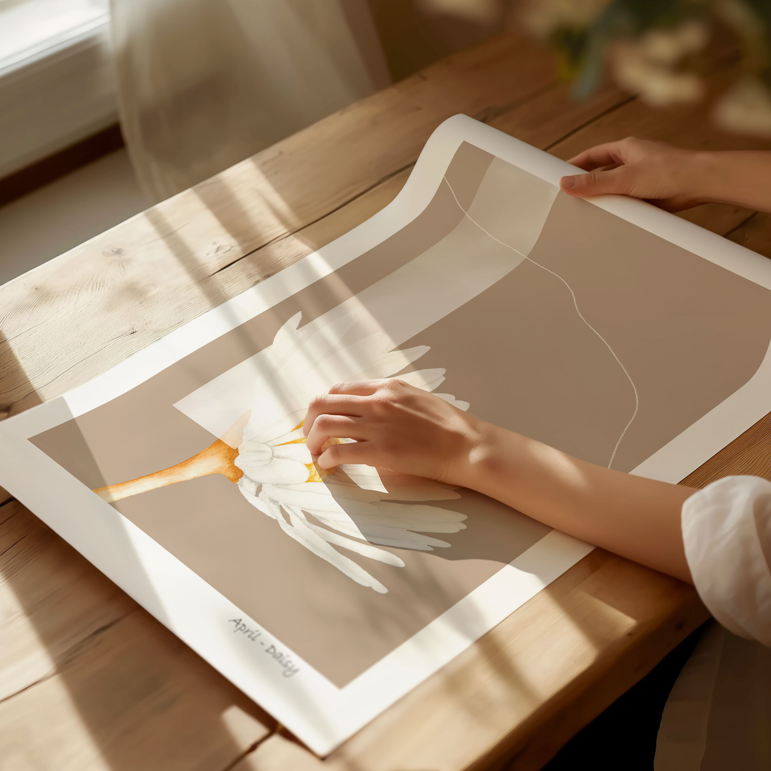 Geboortebloem april Madelief - Image 5