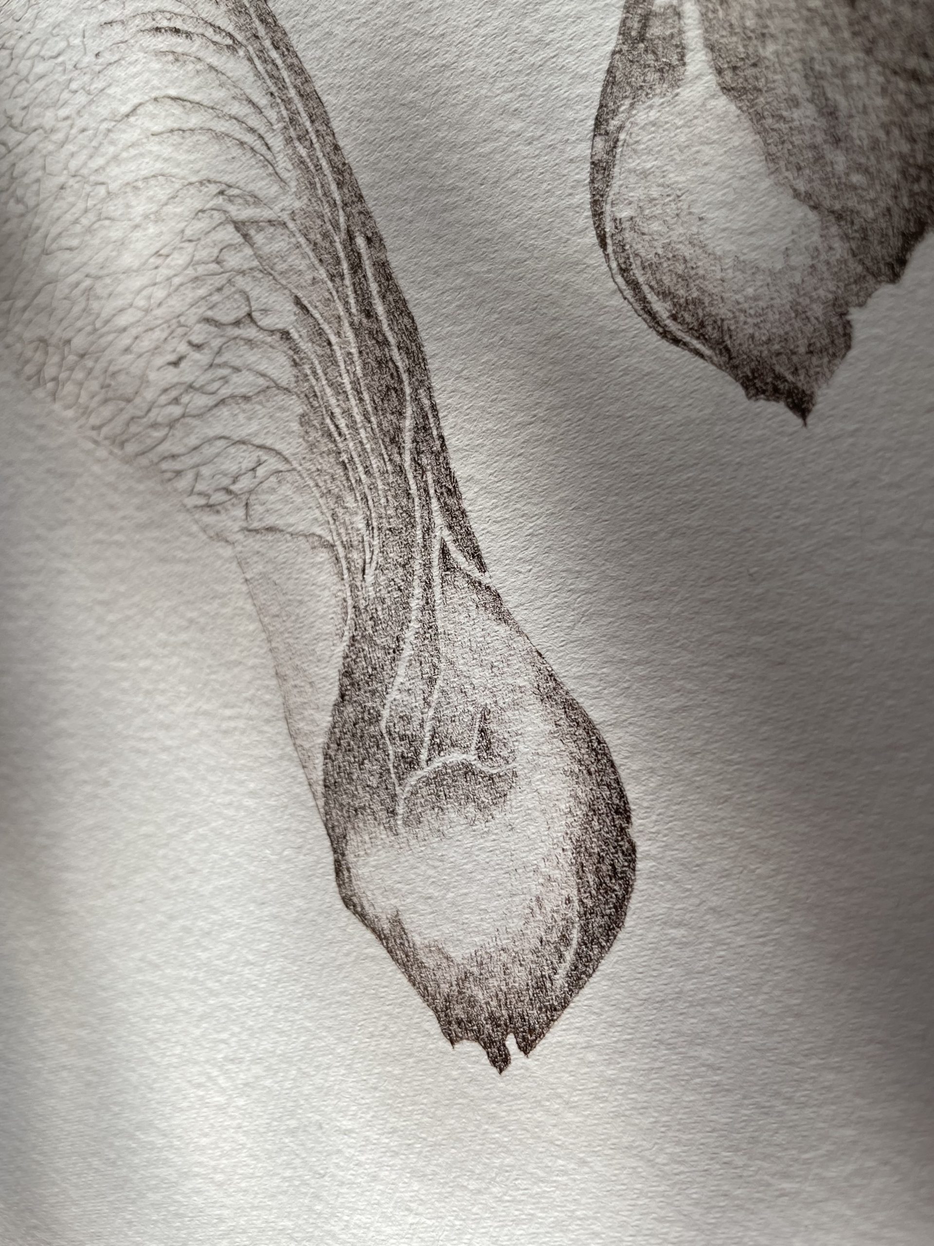 inkttekening origineel schilderij