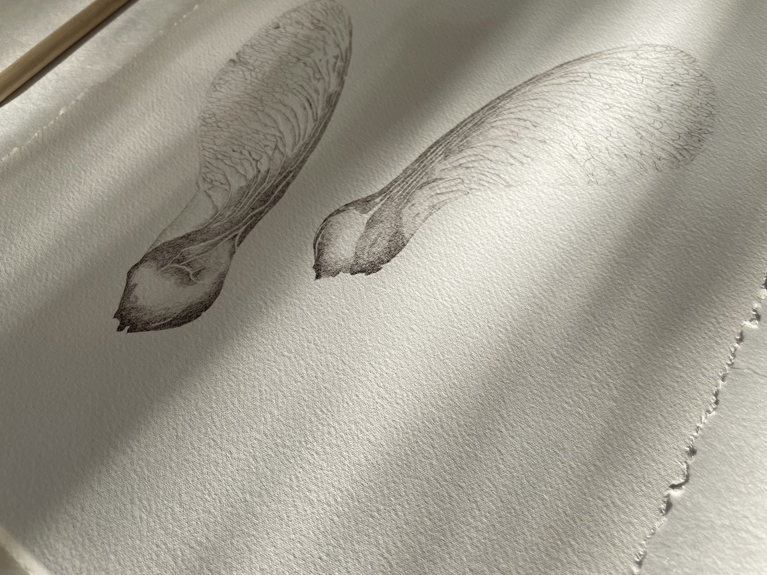 inkttekening origineel schilderij