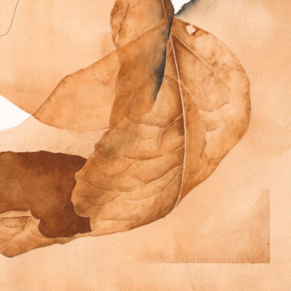 Artprint Whisper of Motion - Image 3