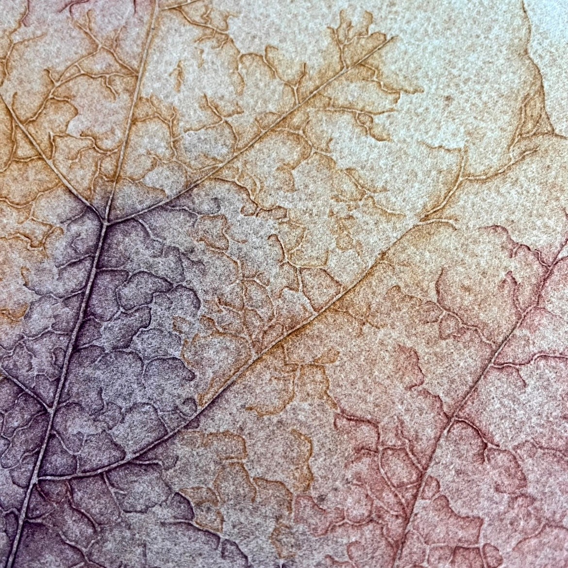 Origineel schilderij | Artwork